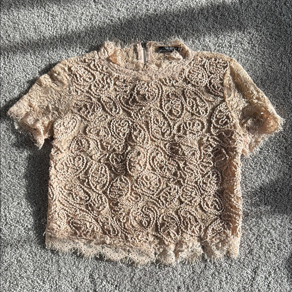 Elegant Zara Lace Blush pink Top